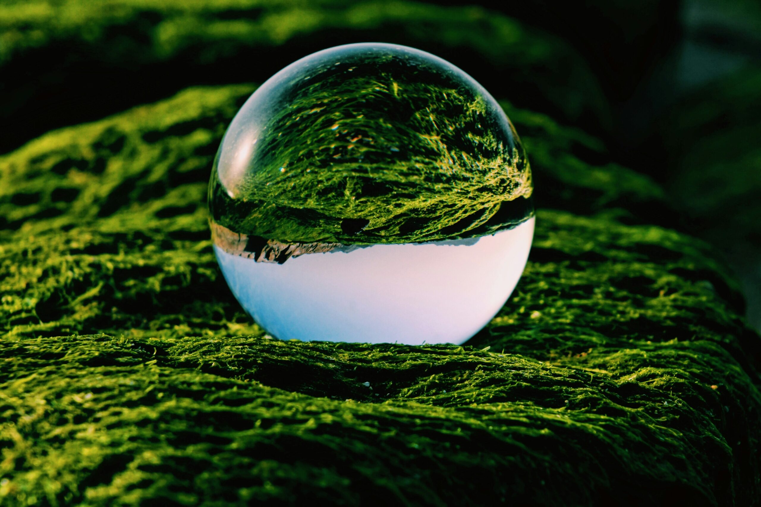 arash-hedieh-022-YtjDp4Y-unsplash