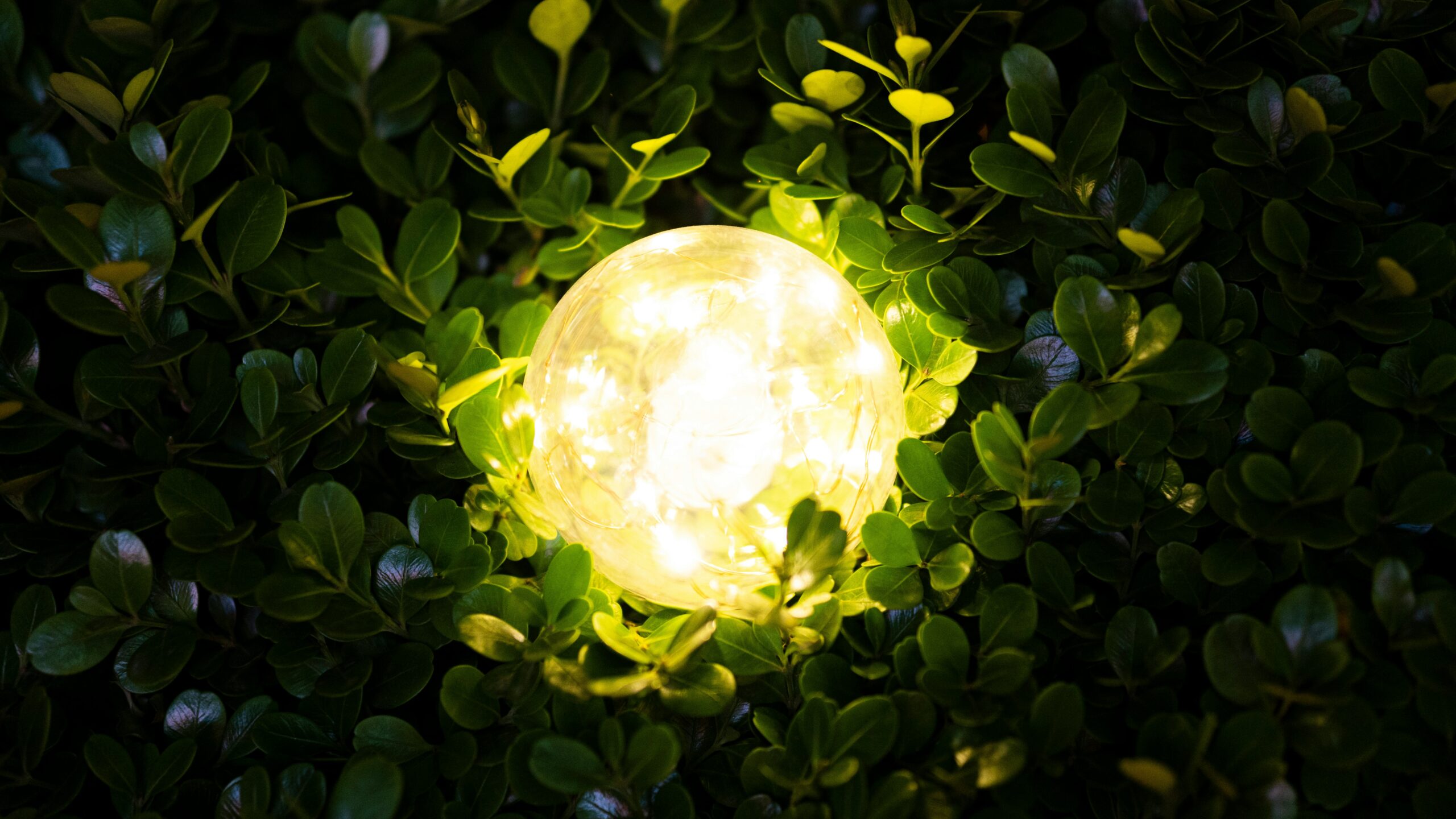 dylan-zeng-3fcFnMpTCXM-unsplash